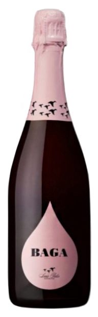 Baga