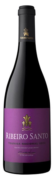 Ribeiro Santo