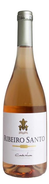 Ribeiro Santo